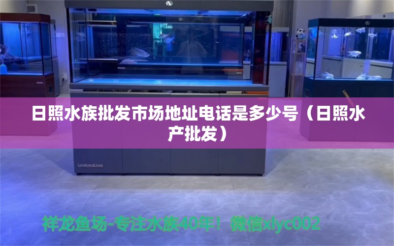 日照水族批发市场地址电话是多少号（日照水产批发） 观赏鱼水族批发市场