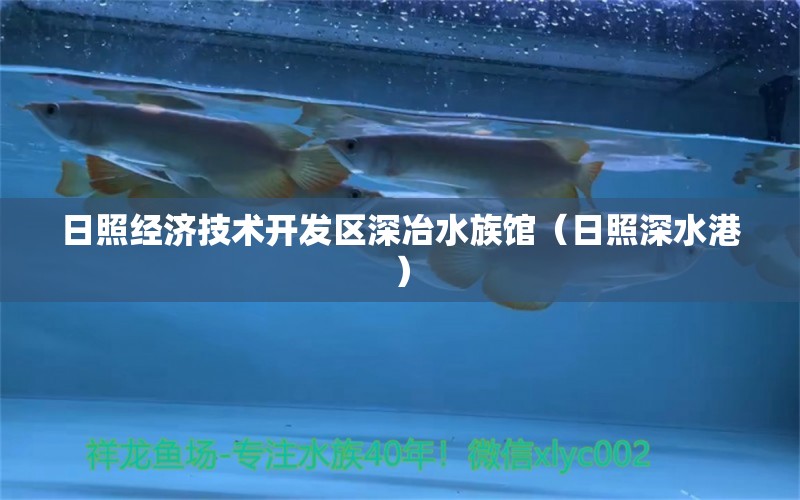 日照经济技术开发区深冶水族馆（日照深水港） 全国水族馆企业名录