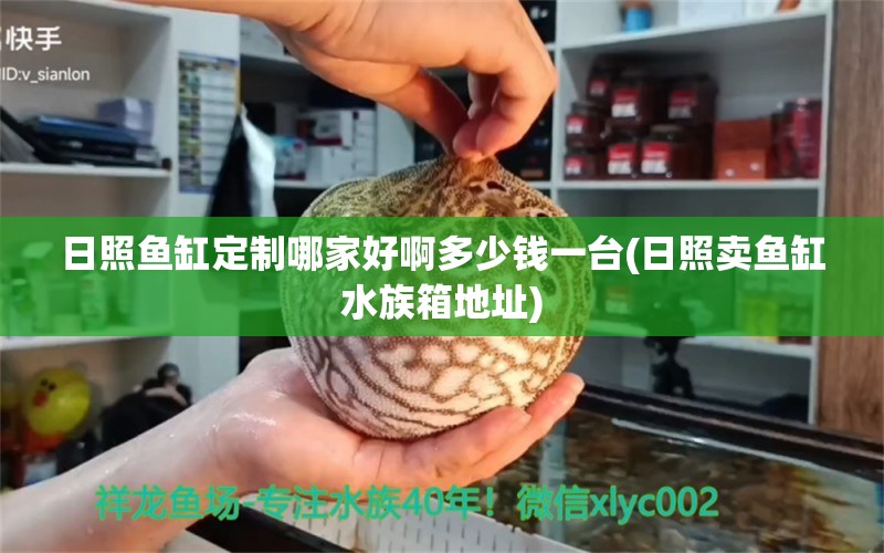 日照鱼缸定制哪家好啊多少钱一台(日照卖鱼缸水族箱地址)