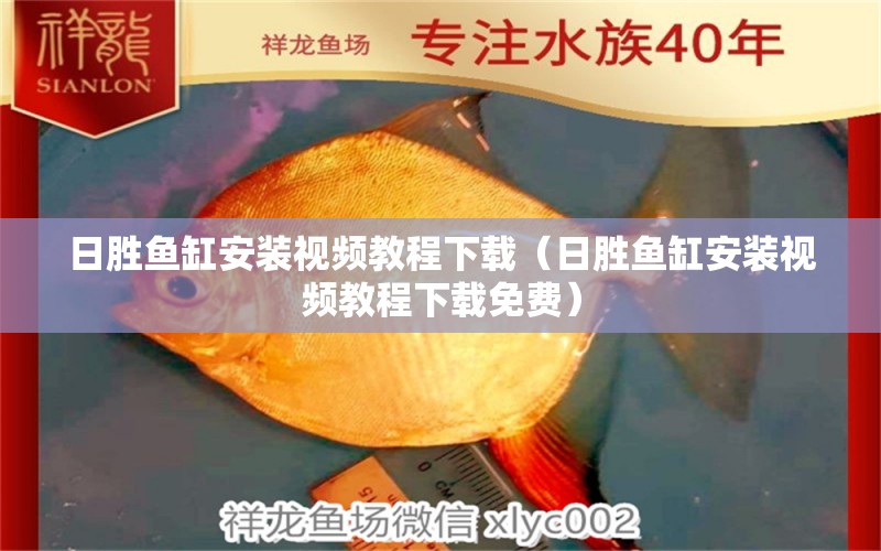 日胜鱼缸安装视频教程下载（日胜鱼缸安装视频教程下载免费） 金龙福龙鱼