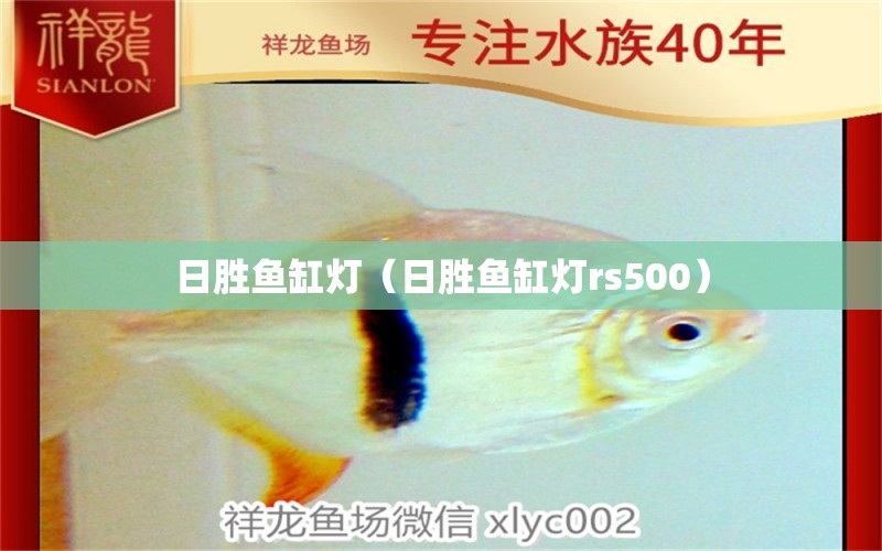 日胜鱼缸灯（日胜鱼缸灯rs500）