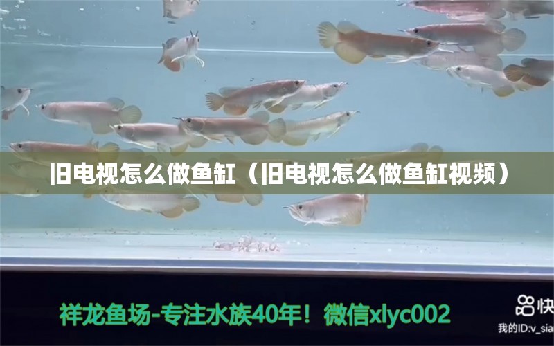 旧电视怎么做鱼缸（旧电视怎么做鱼缸视频） 祥龙水族医院