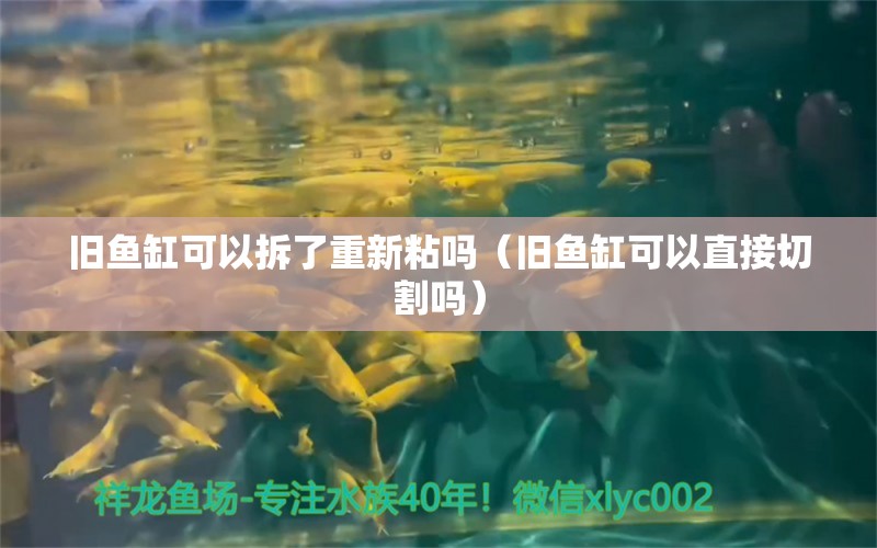 旧鱼缸可以拆了重新粘吗（旧鱼缸可以直接切割吗）