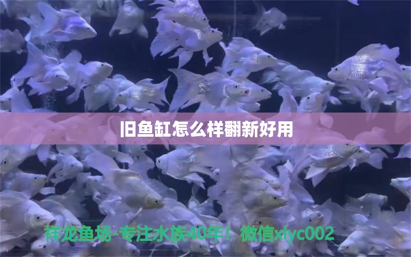 旧鱼缸怎么样翻新好用