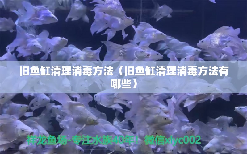 旧鱼缸清理消毒方法（旧鱼缸清理消毒方法有哪些）