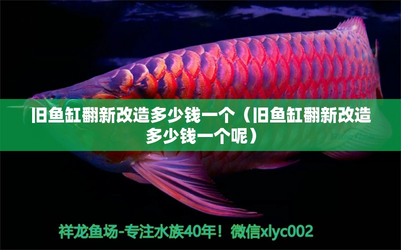 旧鱼缸翻新改造多少钱一个（旧鱼缸翻新改造多少钱一个呢） 祥龙水族医院