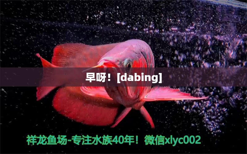 早呀！[dabing] 观赏鱼论坛 第3张