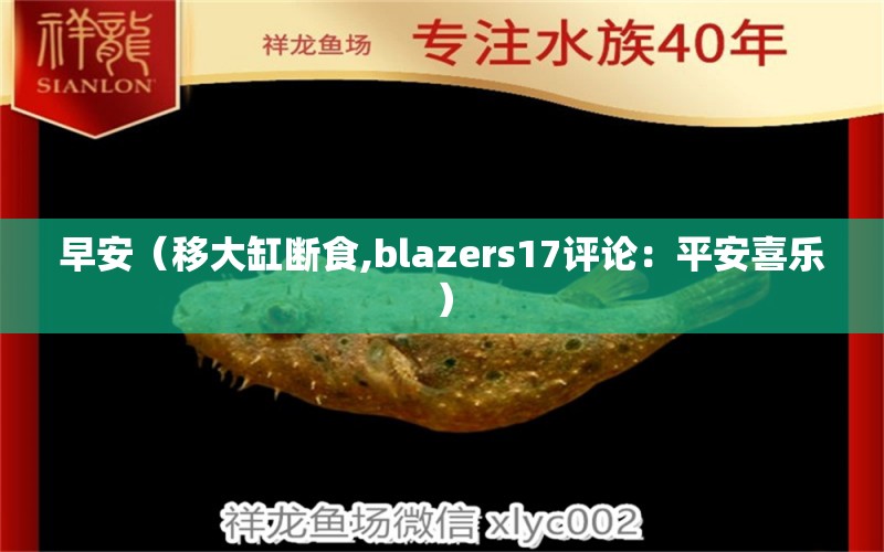 早安（移大缸断食,blazers17评论：平安喜乐） 观赏鱼论坛 第2张