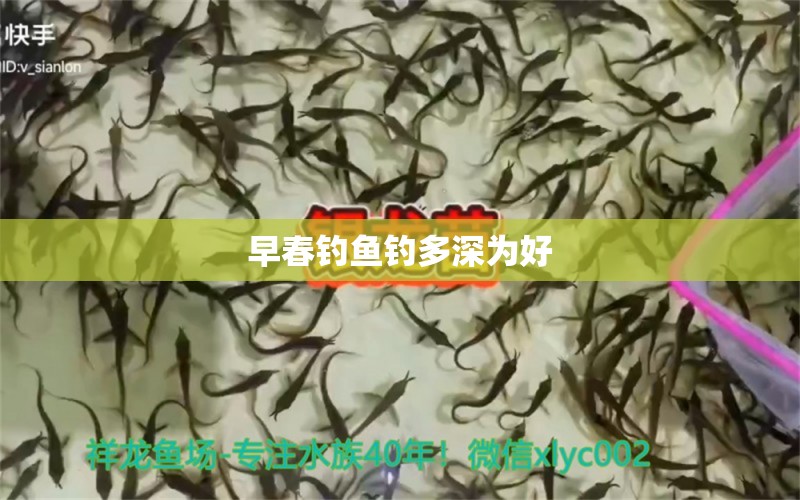 早春钓鱼钓多深为好 水族品牌 第2张