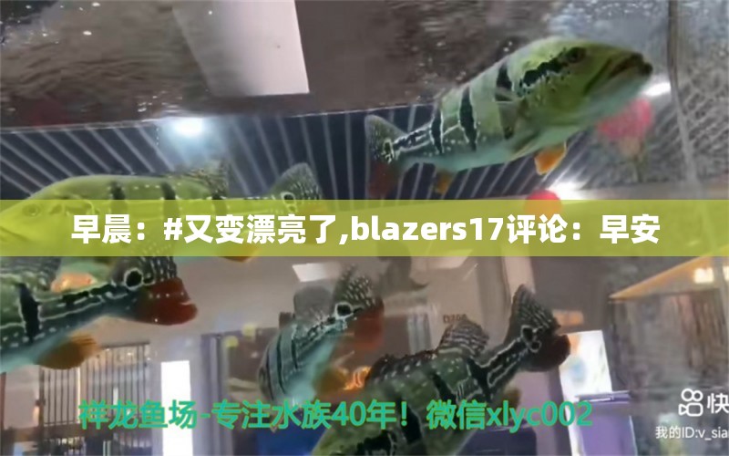 早晨：#又变漂亮了,blazers17评论：早安 观赏鱼论坛 第2张