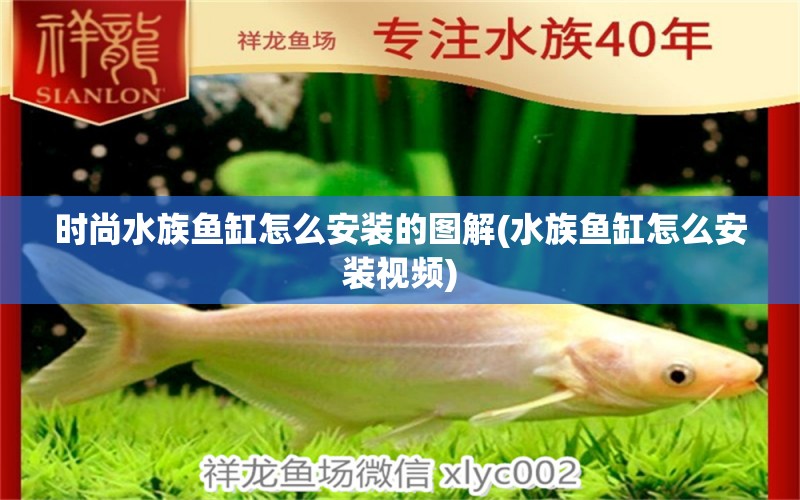 时尚水族鱼缸怎么安装的图解(水族鱼缸怎么安装视频) 广州观赏鱼鱼苗批发市场 第1张