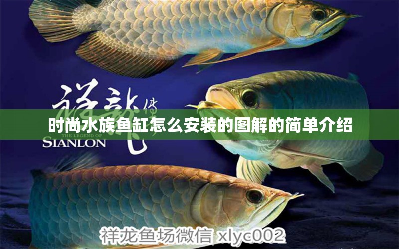 时尚水族鱼缸怎么安装的图解的简单介绍 养鱼知识 第1张