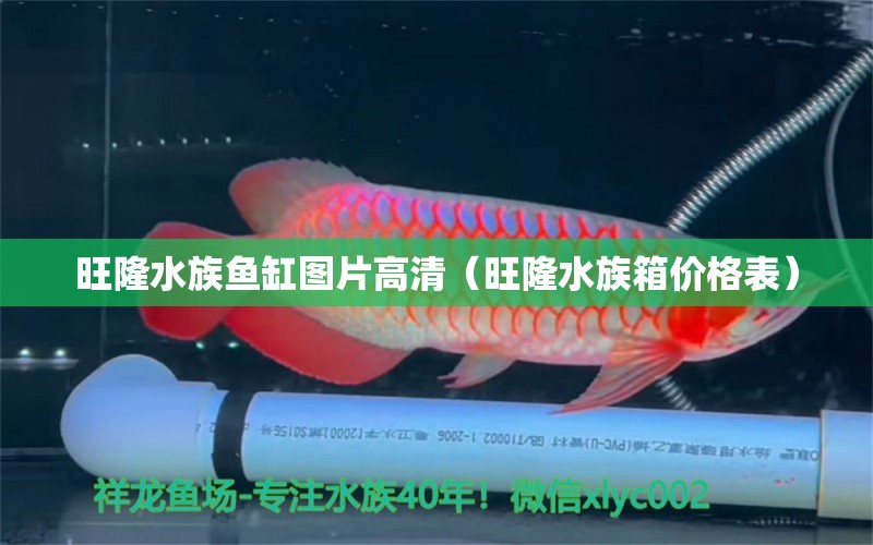 旺隆水族鱼缸图片高清（旺隆水族箱价格表） 观赏鱼批发