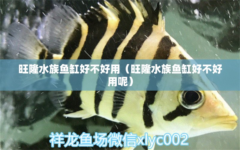 旺隆水族鱼缸好不好用（旺隆水族鱼缸好不好用呢）