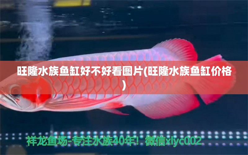 旺隆水族鱼缸好不好看图片(旺隆水族鱼缸价格) 眼斑鱼