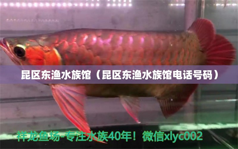 昆区东渔水族馆（昆区东渔水族馆电话号码）