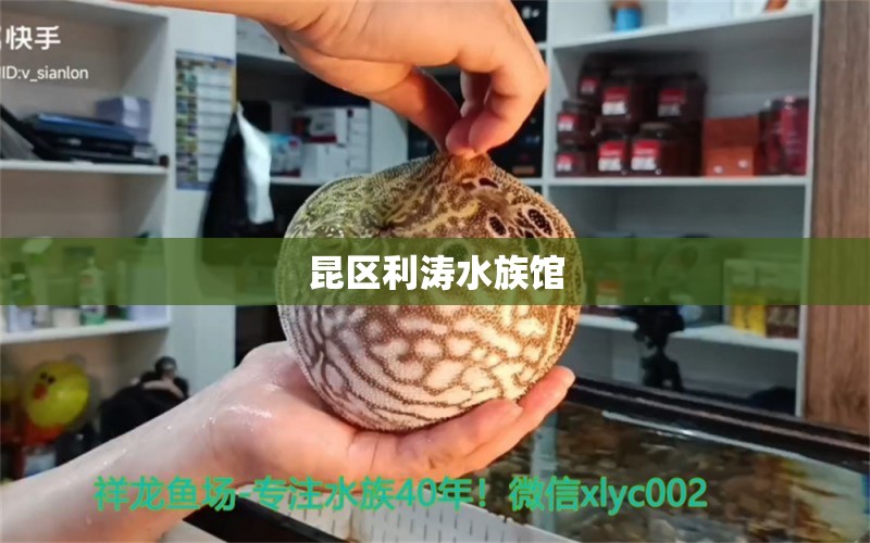 昆区利涛水族馆