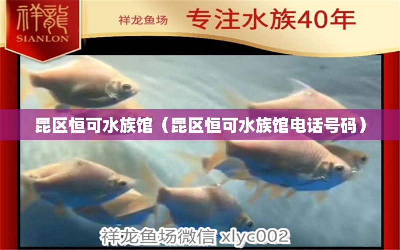 昆区恒可水族馆（昆区恒可水族馆电话号码）