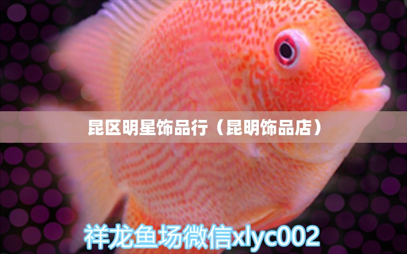 昆区明星饰品行（昆明饰品店） 全国水族馆企业名录