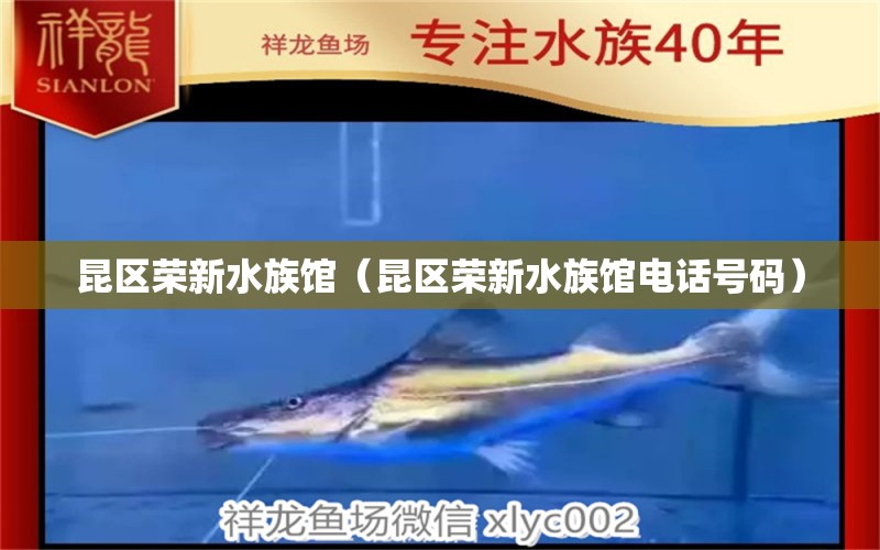 昆区荣新水族馆（昆区荣新水族馆电话号码）