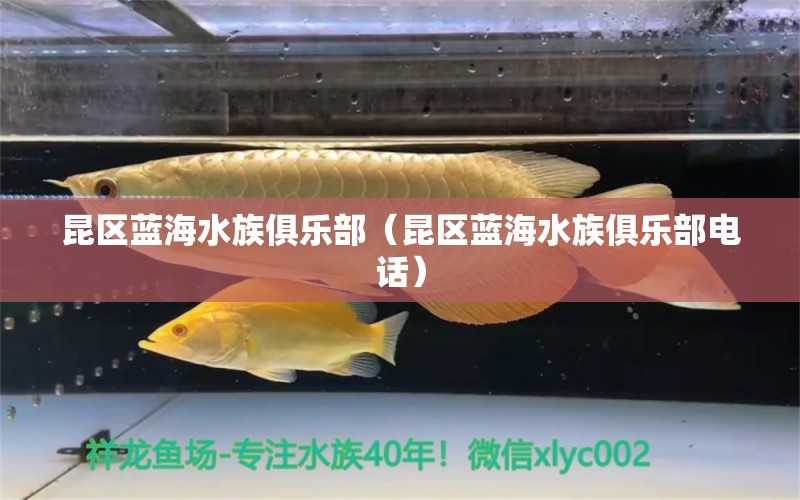 昆区蓝海水族俱乐部（昆区蓝海水族俱乐部电话） 全国水族馆企业名录