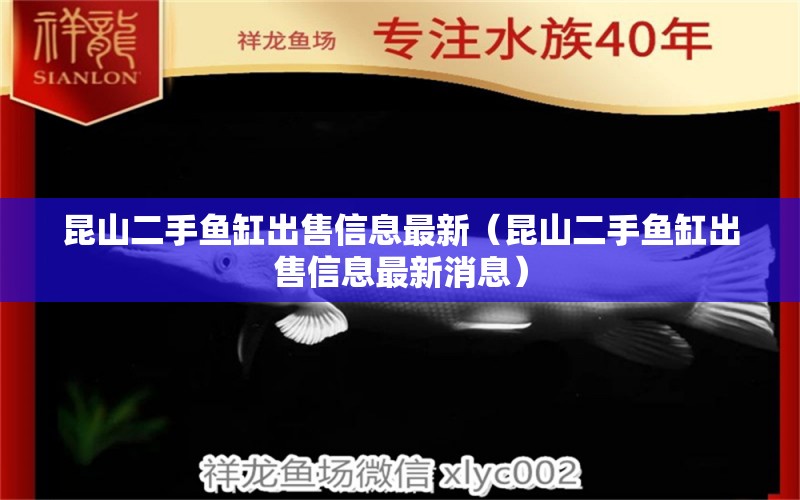 昆山二手鱼缸出售信息最新（昆山二手鱼缸出售信息最新消息） 黄金斑马鱼