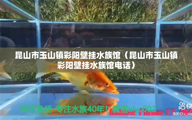 昆山市玉山镇彩阳壁挂水族馆（昆山市玉山镇彩阳壁挂水族馆电话）