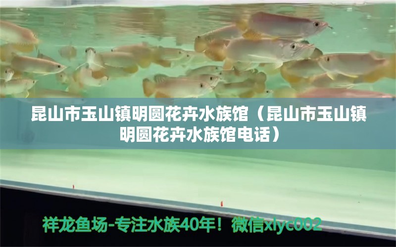 昆山市玉山镇明圆花卉水族馆（昆山市玉山镇明圆花卉水族馆电话）