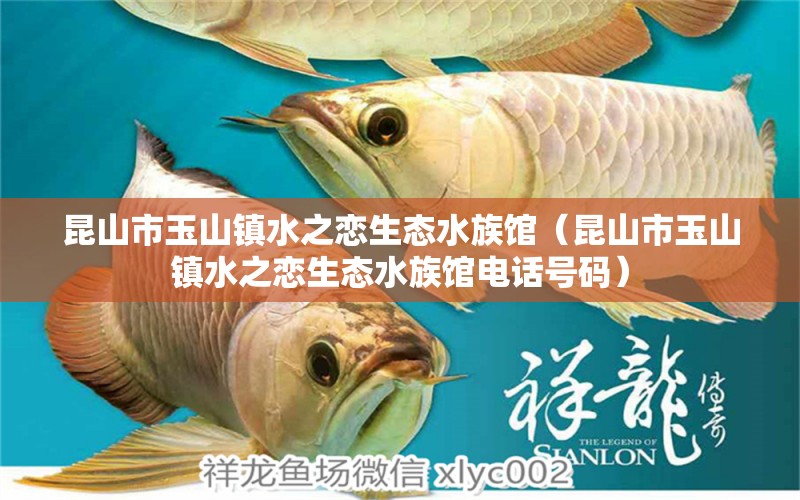 昆山市玉山镇水之恋生态水族馆（昆山市玉山镇水之恋生态水族馆电话号码） 全国水族馆企业名录