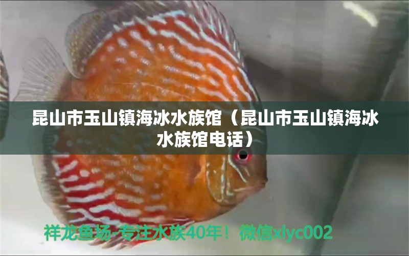 昆山市玉山镇海冰水族馆（昆山市玉山镇海冰水族馆电话） 全国水族馆企业名录