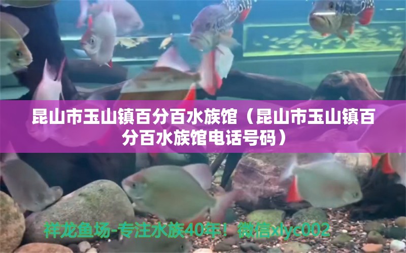 昆山市玉山镇百分百水族馆（昆山市玉山镇百分百水族馆电话号码）