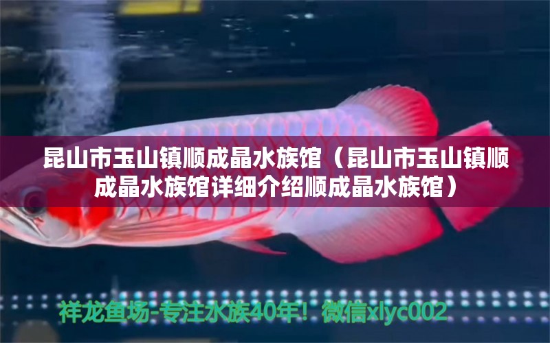 昆山市玉山镇顺成晶水族馆（昆山市玉山镇顺成晶水族馆详细介绍顺成晶水族馆）