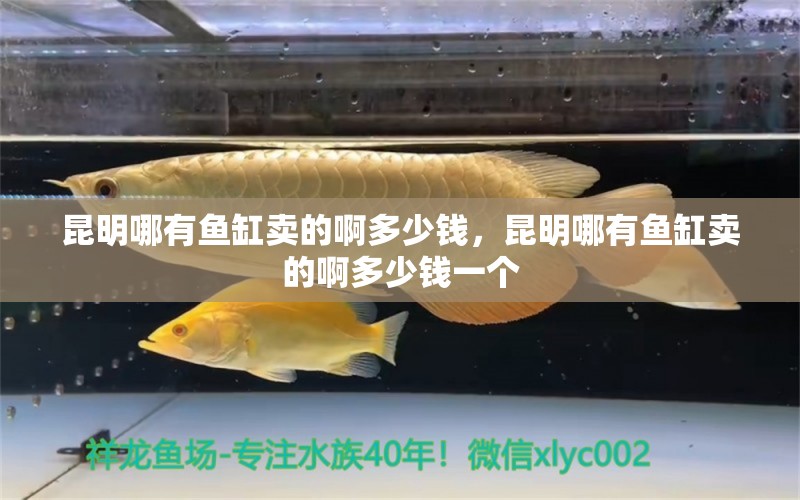 昆明哪有鱼缸卖的啊多少钱，昆明哪有鱼缸卖的啊多少钱一个