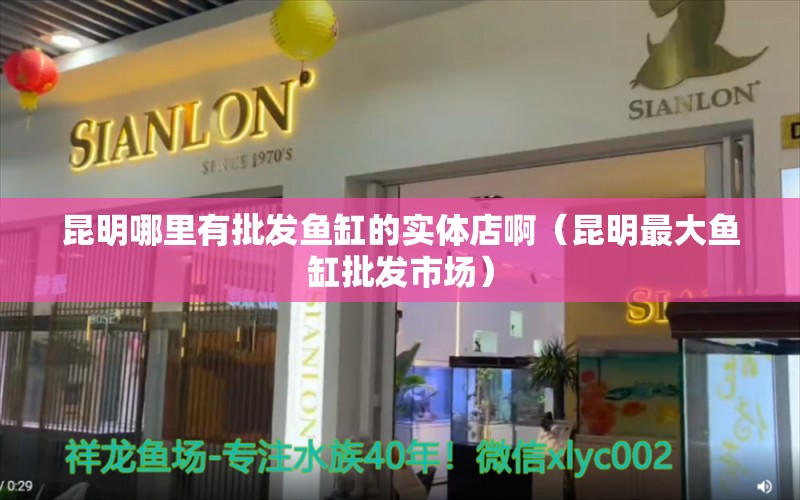 昆明哪里有批发鱼缸的实体店啊（昆明最大鱼缸批发市场）