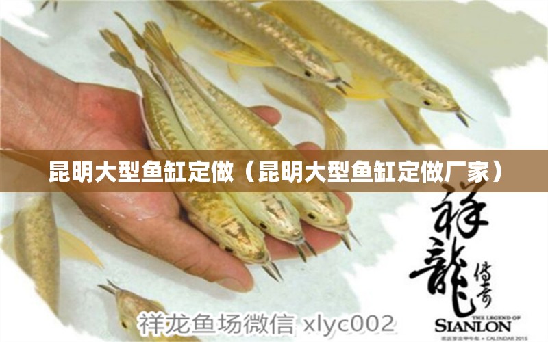 昆明大型鱼缸定做（昆明大型鱼缸定做厂家） 广州龙鱼批发市场