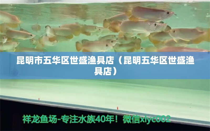 昆明市五华区世盛渔具店（昆明五华区世盛渔具店） 全国观赏鱼市场 第2张