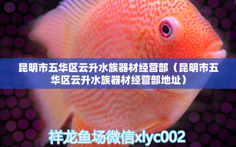 昆明市五华区云升水族器材经营部（昆明市五华区云升水族器材经营部地址）