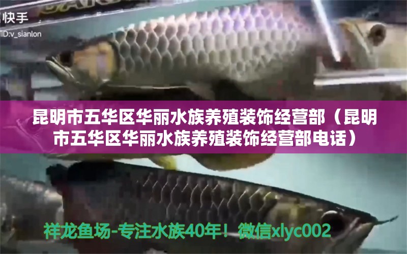 昆明市五华区华丽水族养殖装饰经营部（昆明市五华区华丽水族养殖装饰经营部电话） 全国水族馆企业名录