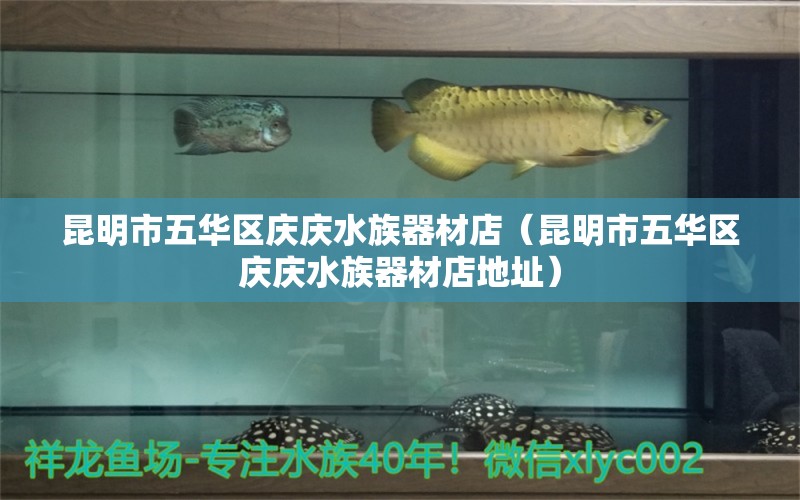 昆明市五华区庆庆水族器材店（昆明市五华区庆庆水族器材店地址）