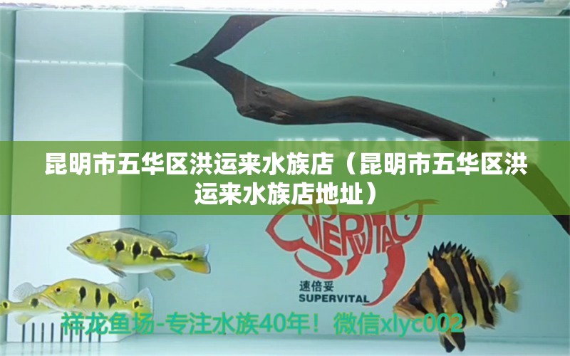 昆明市五华区洪运来水族店（昆明市五华区洪运来水族店地址）