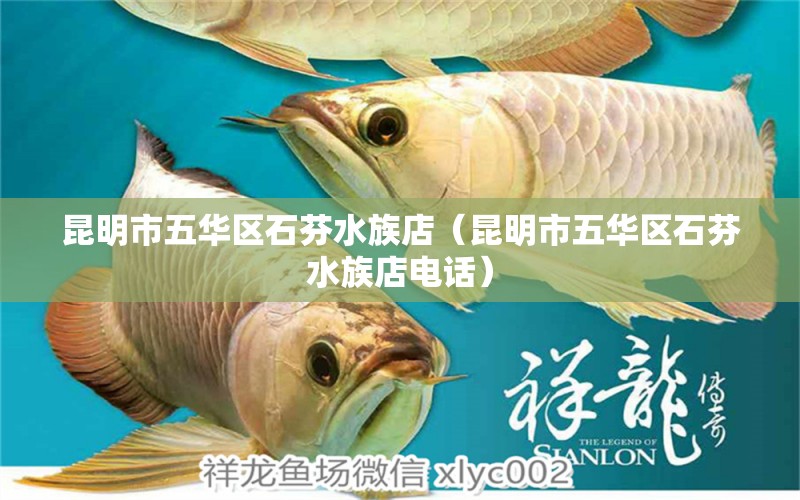 昆明市五华区石芬水族店（昆明市五华区石芬水族店电话）