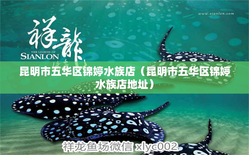 昆明市五华区锦婷水族店（昆明市五华区锦婷水族店地址）