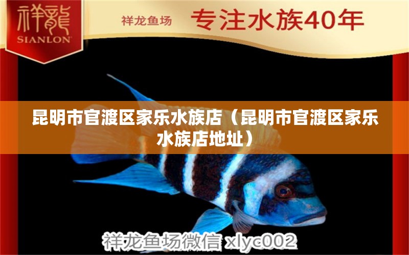 昆明市官渡区家乐水族店（昆明市官渡区家乐水族店地址）