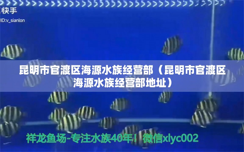 昆明市官渡区海源水族经营部（昆明市官渡区海源水族经营部地址）