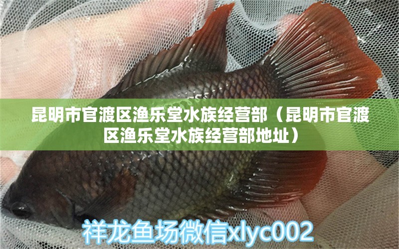 昆明市官渡区渔乐堂水族经营部（昆明市官渡区渔乐堂水族经营部地址）