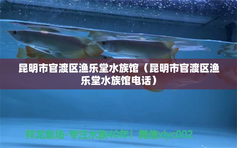 昆明市官渡区渔乐堂水族馆（昆明市官渡区渔乐堂水族馆电话） 全国水族馆企业名录