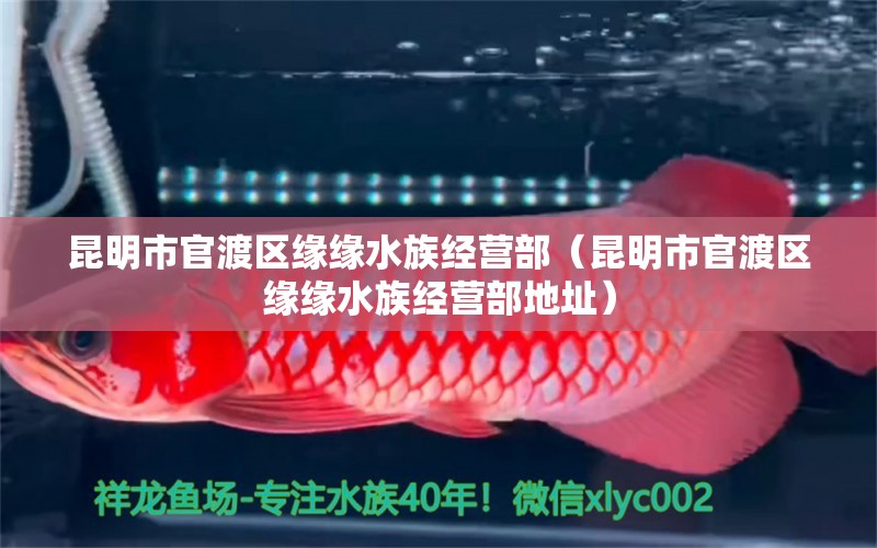 昆明市官渡区缘缘水族经营部（昆明市官渡区缘缘水族经营部地址） 全国水族馆企业名录