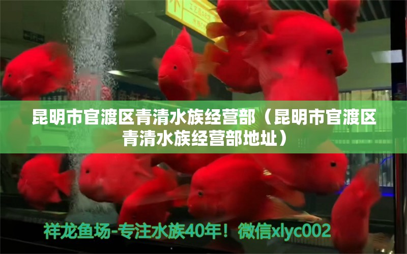 昆明市官渡区青清水族经营部（昆明市官渡区青清水族经营部地址）