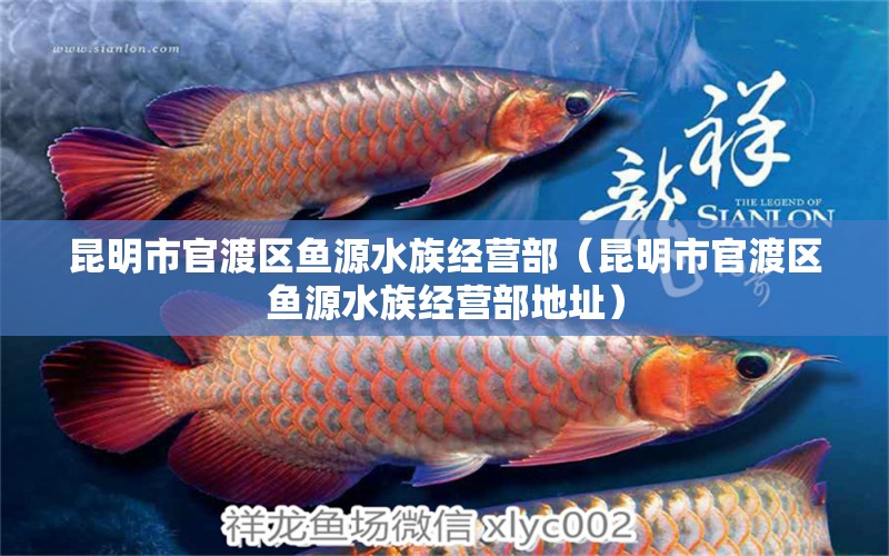 昆明市官渡区鱼源水族经营部（昆明市官渡区鱼源水族经营部地址） 全国水族馆企业名录