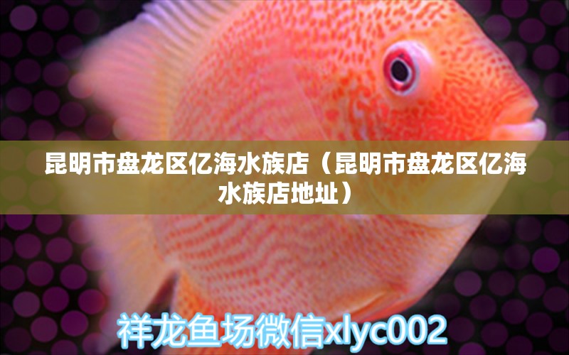 昆明市盘龙区亿海水族店（昆明市盘龙区亿海水族店地址）